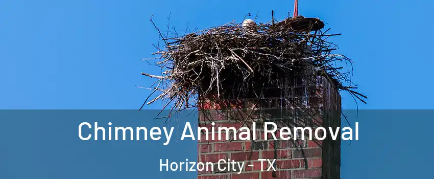  Chimney Animal Removal Horizon City - TX