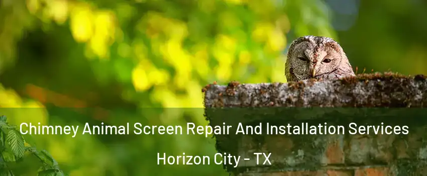  Chimney Animal Screen Repair And Installation Services Horizon City - TX