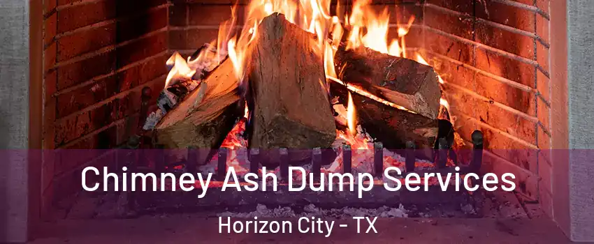  Chimney Ash Dump Services Horizon City - TX