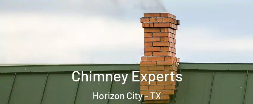 Chimney Experts Horizon City - TX