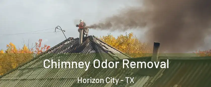  Chimney Odor Removal Horizon City - TX
