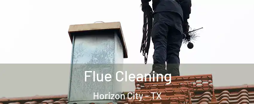 Flue Cleaning Horizon City - TX