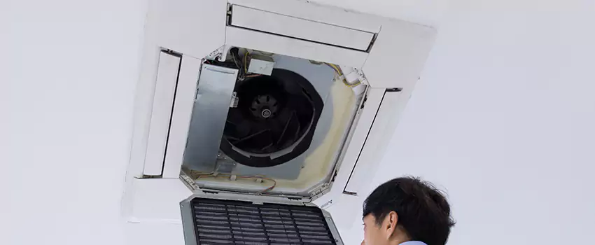 Benefits of Professional Air Duct Cleaning in Horizon City, Texas