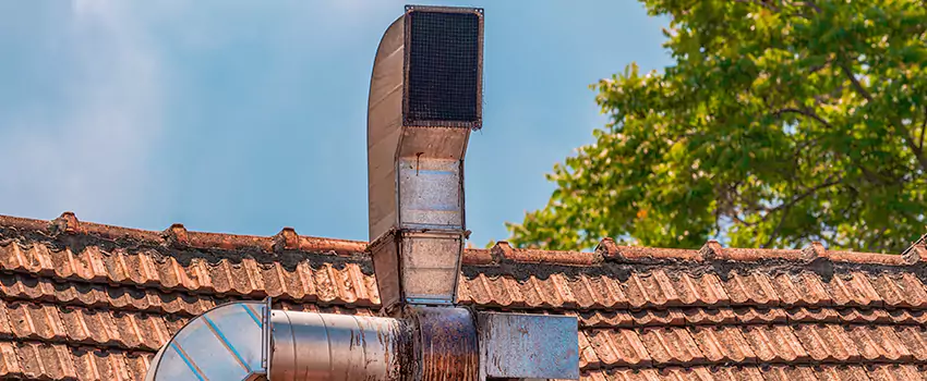 Chimney Blockage Removal in Horizon City, Texas