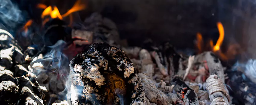 Creosote Removal Experts in Horizon City, TX