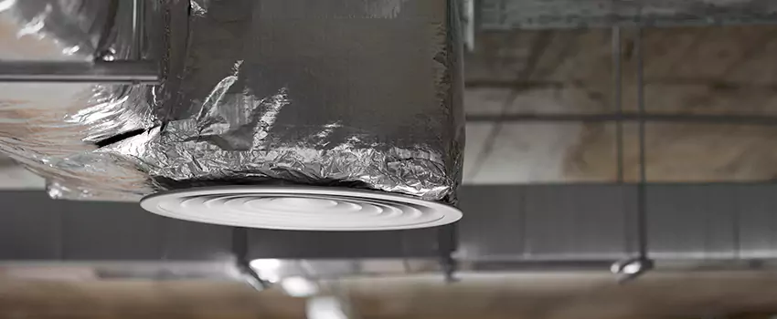 Signs of Dust Accumulation in Vents in Horizon City, TX