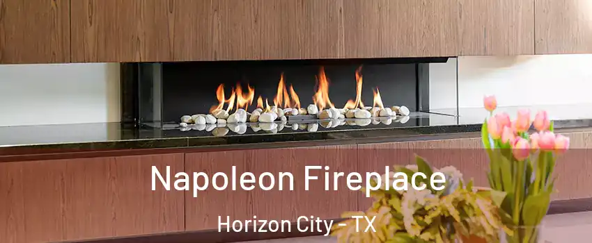  Napoleon Fireplace Horizon City - TX